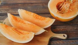 有瓜吃吗图片,揭秘“有瓜吃吗”背后的故事