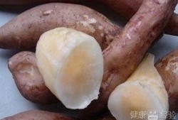雪莲瓜怎么吃,探索美味与健康的完美融合