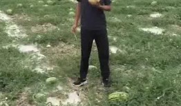 香山吃瓜小说,一场穿越时空的吃瓜奇遇