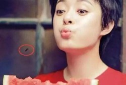 孙俪吃瓜表情,表情包界的“新宠”