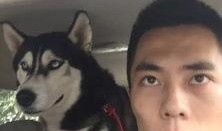 喵喵吃瓜了么,娱乐圈幕后故事全解析