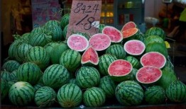 吃瓜网上海,吃瓜网上海，带你领略魔都美食与娱乐新风尚