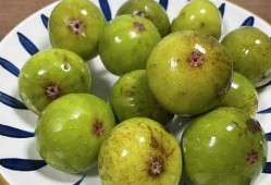 一味吃瓜,揭秘一味吃瓜的奇妙世界