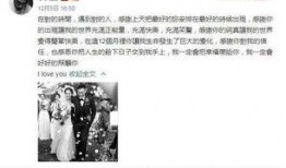 吃瓜博主侵权事件,网络言论自由的边界与责任