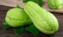 河北邢台平乡吃瓜,探寻河北邢台平乡的夏日美食风情