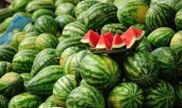 免费分享吃瓜,揭秘娱乐圈幕后故事