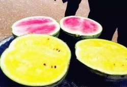 吃瓜爆网,揭秘娱乐圈幕后真相，带你走进明星生活