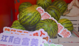 河北公园吃瓜,清凉一夏，共享悠闲时光