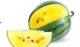 新鲜瓜在哪吃最好吃,探寻新鲜瓜的最佳食用时光与地点