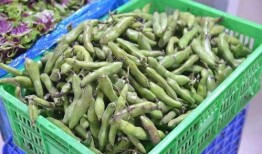 孟孟吃瓜,揭秘娱乐圈那些不为人知的幕后故事