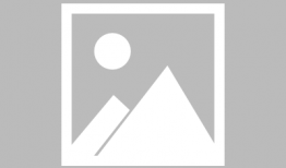 吃火锅吃蛋糕吃瓜