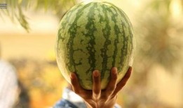 那些吃瓜事件,揭秘那些令人瞩目的吃瓜事件