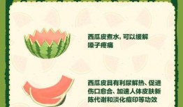 吃瓜全文免费阅读,揭秘娱乐圈背后的秘密与真相