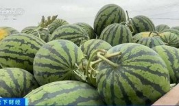 赵湾吃瓜,揭秘娱乐圈背后的那些事儿