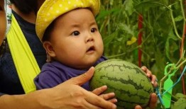 吃瓜资料群,网络社交的趣味与争议