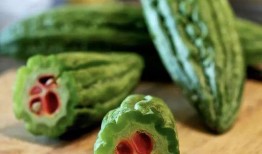 yq穿戴甲吃瓜,吃瓜群众的时尚新宠