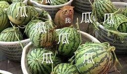 娱你吃瓜,娱乐圈最新热点事件大盘点