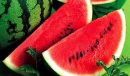 吃瓜小宋大人吃瓜日常,揭秘娱乐圈的甜蜜与苦涩