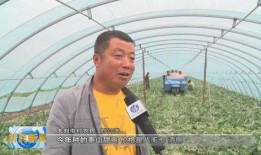 刘屯吃瓜,揭秘娱乐圈背后的秘密与真相