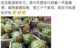 421 吃瓜事件,揭秘网络舆论的风云变幻