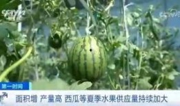鹤川吃瓜群众