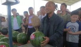 吃瓜群众莱西,揭秘娱乐圈幕后风云