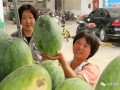 环湖小区吃瓜,吃瓜群众的热闹日常