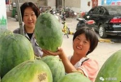 环湖小区吃瓜,吃瓜群众的热闹日常