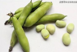 臭屁弹吃瓜,揭秘网络热梗背后的趣味与争议