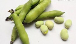 臭屁弹吃瓜,揭秘网络热梗背后的趣味与争议