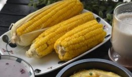 孕早期一天吃一个哈密瓜,哈密瓜助力孕妈健康营养之旅