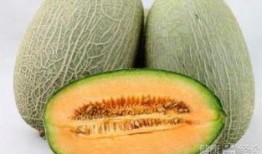 乙肝吃哈密瓜