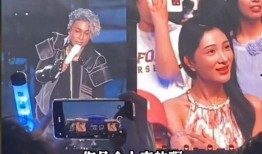 演唱会上吃瓜,瓜分欢乐，共享音乐盛宴