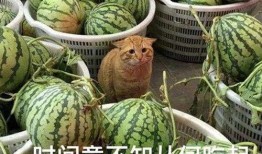 每天吃瓜爆料,娱乐圈新鲜爆料大盘点