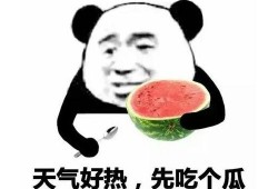 稷泽吃瓜表情包