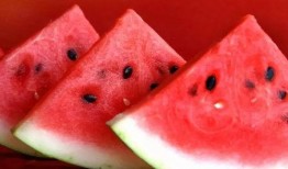 吃瓜吐籽的人,吃瓜吐籽的人生哲学