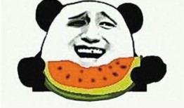 吃瓜群众939,网络红人的崛起之路