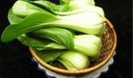 小透明吃瓜菜菜,揭秘娱乐圈幕后故事