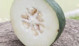 吃白瓜便秘,饮食调整与生活改善之道