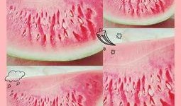 鹤壁吃瓜的地方