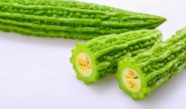 夏吃叶还是瓜,夏日消暑美食指南