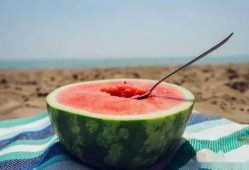 让客人吃瓜,一场别开生面的美食之旅