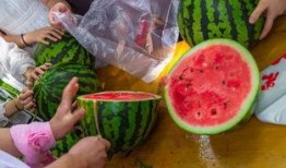 泗水牙科吃瓜视频