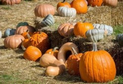 广铁吃瓜,揭秘铁路行业背后的那些事儿