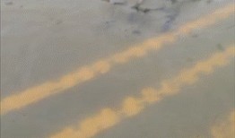 雨天梳头吃瓜gif