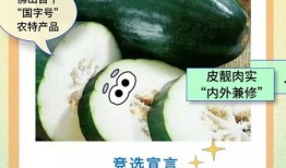 佛山大良吃瓜,夏日吃瓜盛宴，品味传统与现代的交融