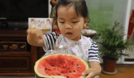 吃瓜群众的位置