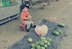 老头坐板凳吃瓜