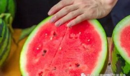 吃瓜最多的学校,揭秘吃瓜最多的校园风云录