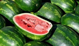 吃蜜瓜的正确方法,揭秘吃蜜瓜的正确姿势